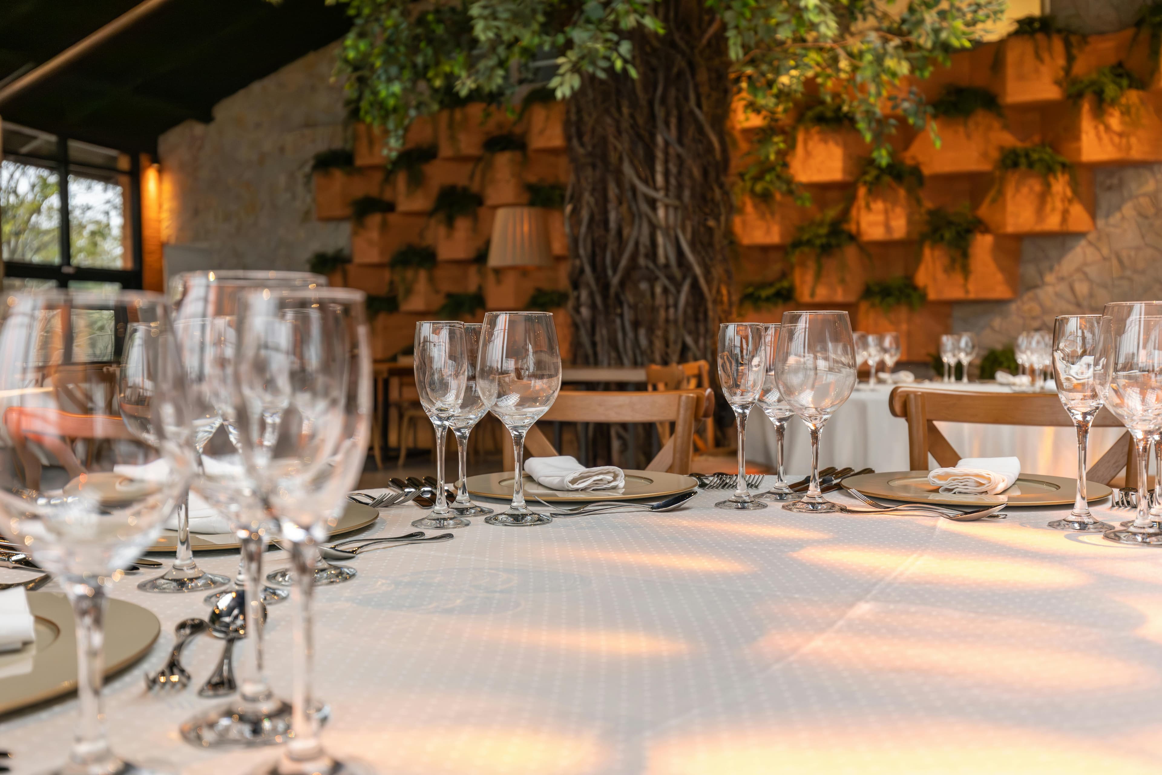 Evento elegante